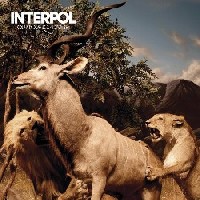 interpol2