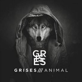 grises-animal