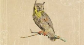 Jeff Hanson / Madam Owl