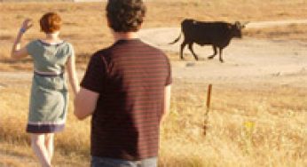 ¿Por qué no me das tu dinero?