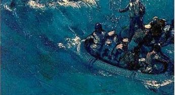 Discos de la década: The Avalanches