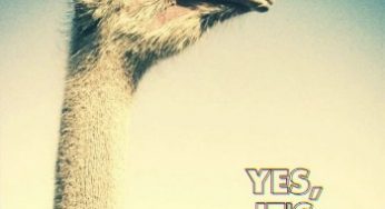 The Polyphonic Spree presentan ‘You Don’t Know Me’