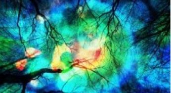 Richard Hawley / Standing At The Sky’s Edge