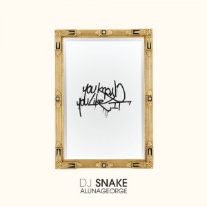You-Know-You-Like-It-DJ-Snake
