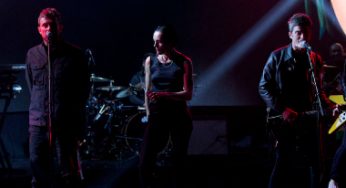 Montones de Gorillaz (entre ellos, Damon Albarn y Noel Gallagher) juntos en TV