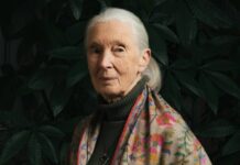 De Stevie Nicks a La Revuelta: adiós a Jane Goodall